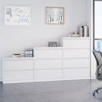 Classificatore laterale in metallo a 2 cassetti bianco/nero con serratura, utente singolo